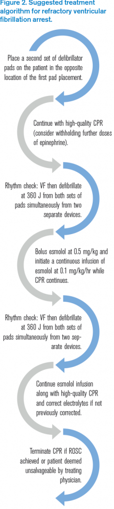 Figure 2. Suggested treatment algorithm for refractory ventricular fibrillation arrest.