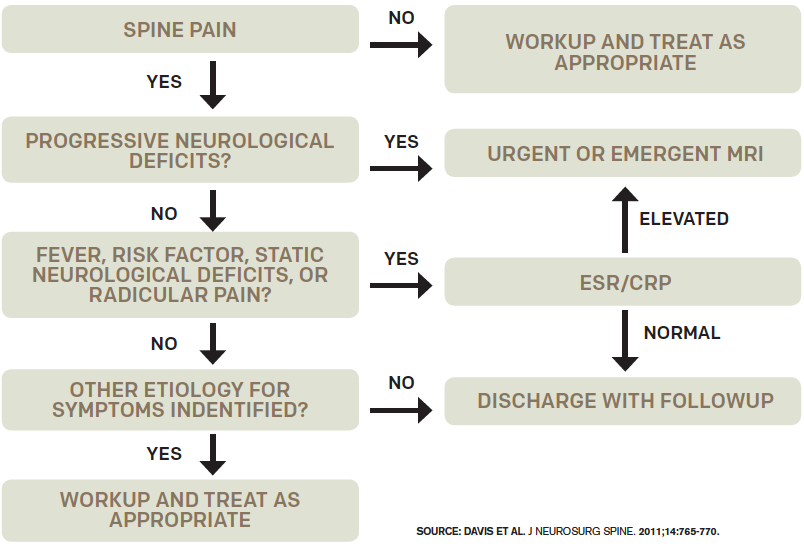 Figure 1 Decision Guideline For Diagnosing Spinal Epidural