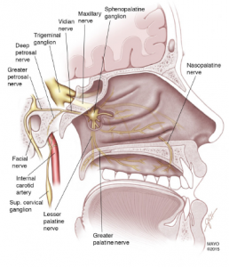 what is a nerve block for migraine