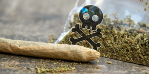 Tainted Synthetic Cannabis Leads to Acquired Coagulopathy Outbreak