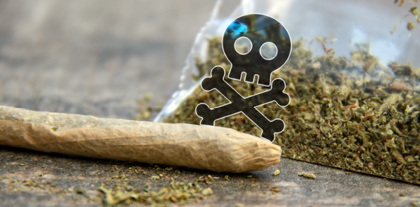 Tainted Synthetic Cannabis Leads to Acquired Coagulopathy Outbreak