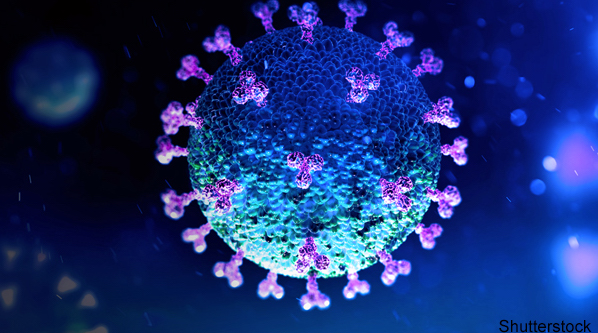 3D illustration of coronavirus COVID-19 under the microscope.